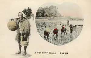 Working the paddy fields - Japan