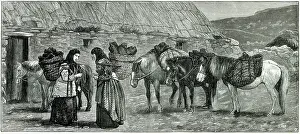 Working shetland ponies in the Shetland Islands, Scotland. Date: 1882