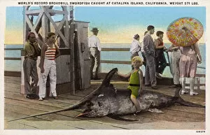 Poses Collection: World Record Broadbill Swordfish Catalina Island, California