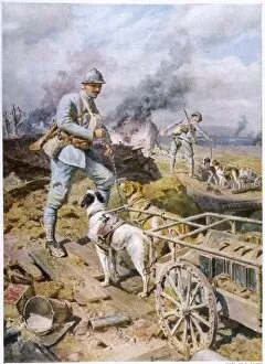 WWI Animals Gallery: World War I dog carts