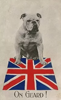 WWI Animals Gallery: World War One Patriotic Postcard - Bulldog