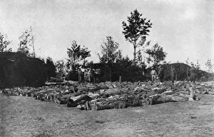World War One Ww1 Wwi 1st Great First Wartime