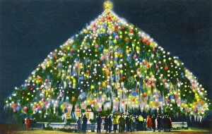 Shaped Collection: Worlds Largest Living Christmas Tree - Wilmington