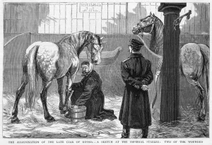 Terrorists Prints: Wounded Horses