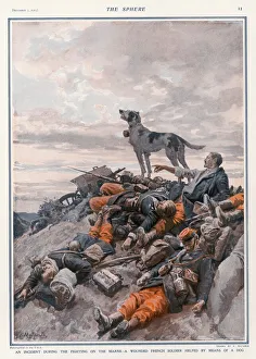Regimental Gallery: Wounded Saved by Dog