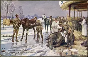 Wounded War-Horses
