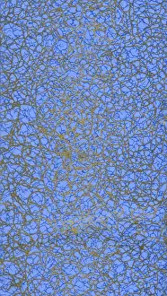 Wrapping Paper Sample Design