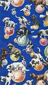 Wrapping Paper Sample Design