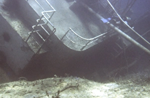 Images Dated 11th September 2015: Wreck diving off the coast of Malta