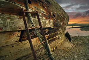 Sunset Collection: Wreck of old wooden fishing boat on banks of the River Dee