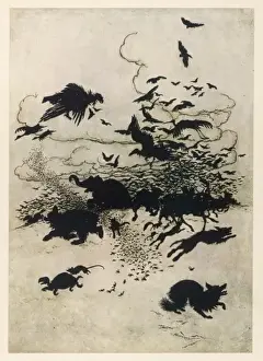 The Wren and the Bear