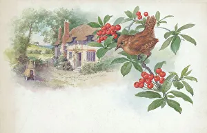 Wren Prints: Wren and cottage
