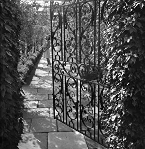 Images Dated 22nd January 2016: Wrought iron gate in a garden