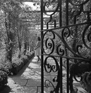 Images Dated 22nd January 2016: Wrought iron gate in a garden