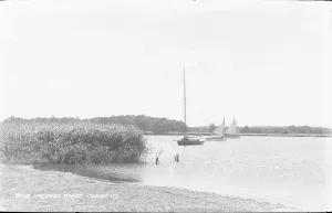 Reeds Prints: Wroxham Broad