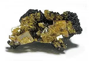 Wulfenite