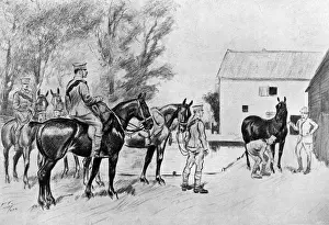 Purposes Prints: WW1 - buying horses for the Suffolk Territorial R. F. A