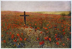 Images Dated 1st November 2011: WW1 / C 1919 / POPPY FIELD