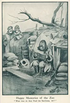 Memories Prints: Ww1 Cartoon / Sea-Lions