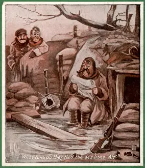 Ww1 Cartoon / Sea-Lions