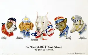 Dachshund Prints: Ww1 Friends and Foes