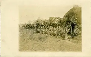Nicholson Prints: WW1 Gunners in Trench & Horses