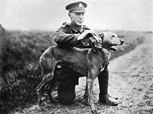 Messenger Prints: WW1 messenger dog