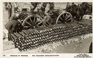 Horse Drawn Gallery: WW1 - New Zealand Anzac Troops loading ammunition, France