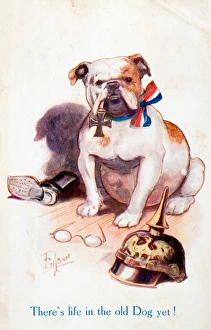 Ww1 Postcard Bulldog