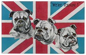 Jack Collection: Ww1 Postcard Bulldogs