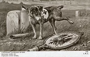 Images Dated 24th March 2017: WW1 - A Red Cross dog relieves himself on a German Standard