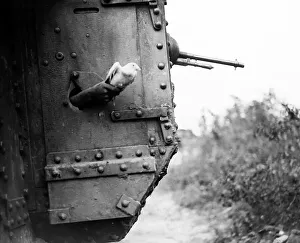 WW1 - Releasing a carrier pigeon from a tank near