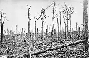 WW1 Sanctuary Wood Belgium
