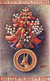 Springbok Gallery: WW1 - The South African General Service Badge