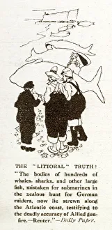 Beaches Collection: WW1 - Whales mistaken for submarines