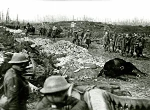 Move Collection: Ww1 Wwi World War One First 1st Great I British