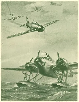 Capture Collection: WW2 - Blackburn Skuas Capture Italian Cant