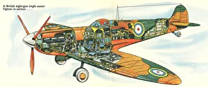 WW2 British Fighter Plane In Section