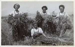 WW2 - British Land Girls at work