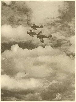 WW2 - Harvard Trainers In Formation