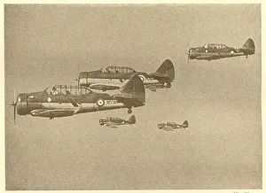 WW2 - Harvard Trainers In Formation
