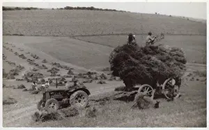 Baling Prints: WW2 - Home Front - Agricultural workers - Harvesting crops
