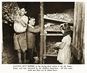 Buckingham Prints: WW2 - Home Front - children from the Buckingham Gate Central School