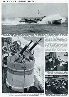 Images Dated 1st September 2020: WW2 - The Motor Launches of E-Boat Alley