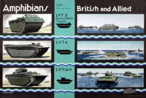 Amphibians Collection: WW2 poster, Amphibians, British and Allied