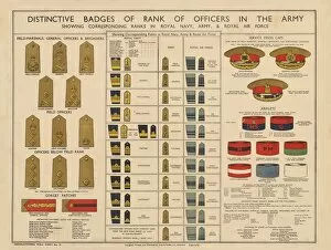 Armbands Gallery: WW2 Poster -- Army Officer and other badges
