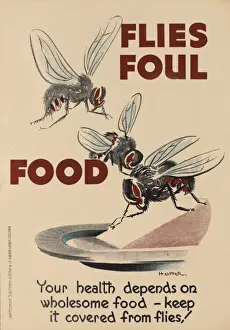 Warning Prints: WW2 Poster -- Flies Foul Food