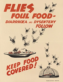 WW2 Poster -- Flies Foul Food -- Keep Food Covered WW2 Poster -- Flies Foul Food -- Keep Food Covered