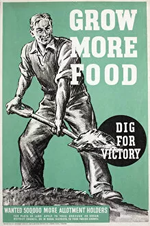 Allotment Collection: WW2 poster, Grow more food, dig for victory