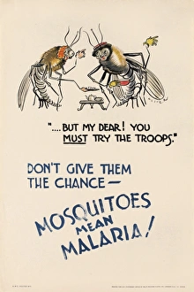 Chance Gallery: WW2 Poster -- Mosquitoes Mean Malaria